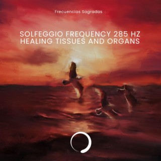 Solfeggio Frequency 285 Hz (Healing Tissues and Organs)