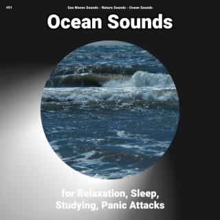 #01 Ocean Sounds for Relaxation, Sleep, Studying, Panic Attacks