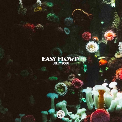 Easy Flowin | Boomplay Music