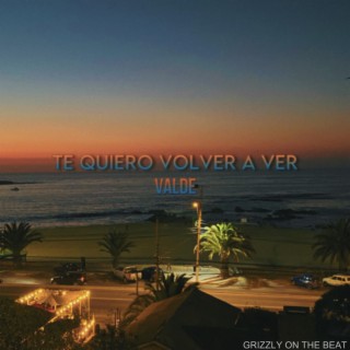 Te Quiero Volver A Ver lyrics | Boomplay Music