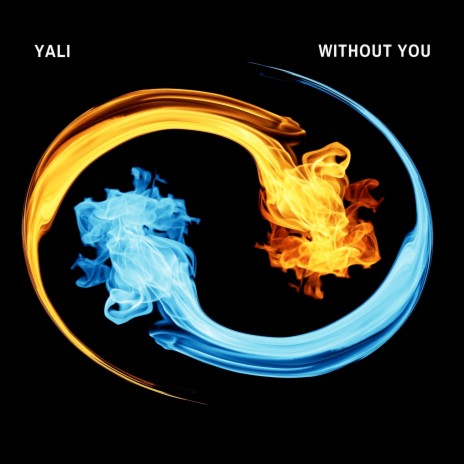 Without You (Extended) | Boomplay Music