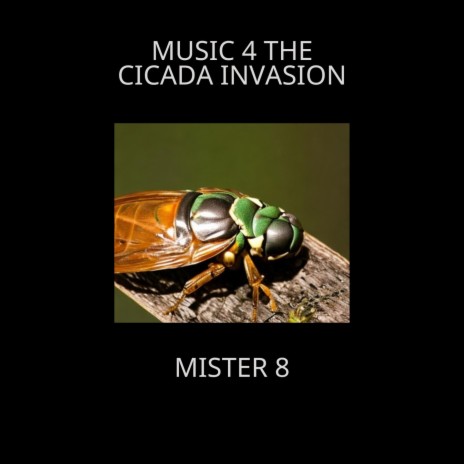 music 4 the cicada invasion