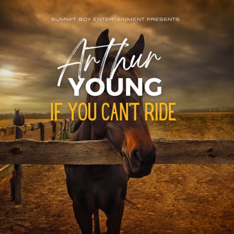 If You Can't Ride | Boomplay Music