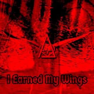 I Earned My Wings