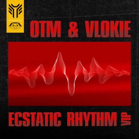 Ecstatic Rhythm VIP ft. Vlokie | Boomplay Music
