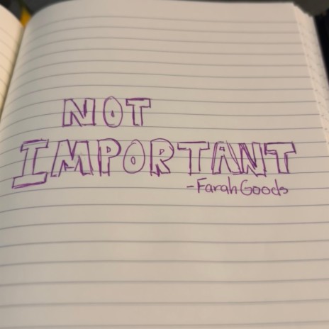 Not Important | Boomplay Music