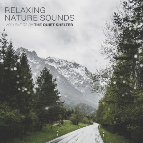 Relaxing Nature Sounds Volume 02 (Long Mix)