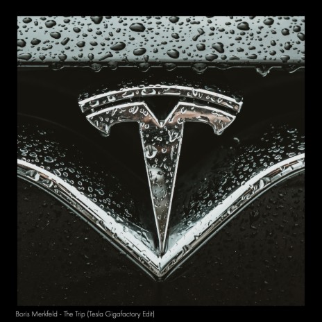 The Trip (Tesla Gigafactory Edit) | Boomplay Music