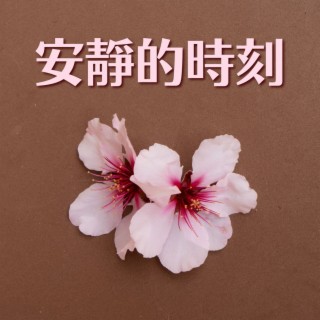 安靜的時刻: 輕音樂為了冥想，瑜伽，睡眠，休息