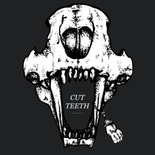 Cut Teeth