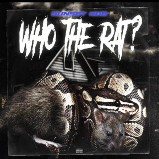 WHO THE RAT?