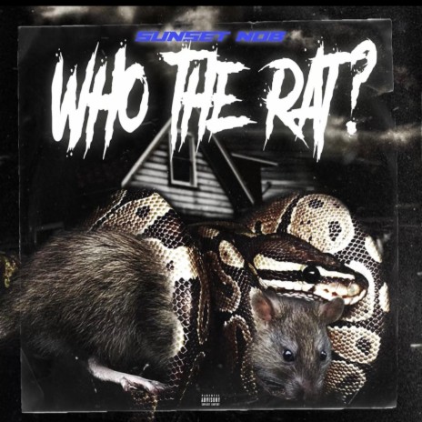 WHO THE RAT? | Boomplay Music