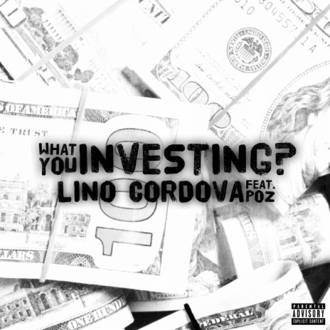 What You Investing ft. Poz | Boomplay Music