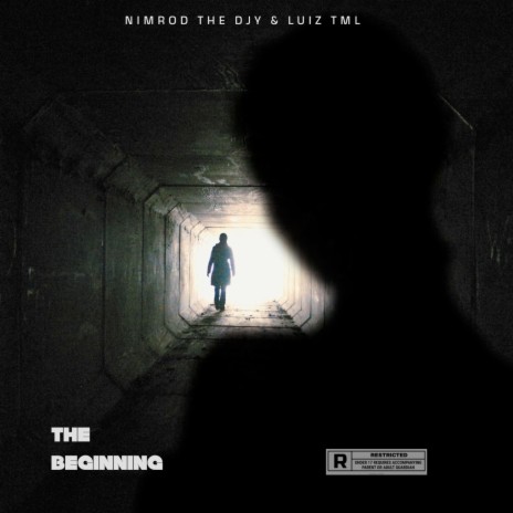 The Beginning ft. Luiz TML | Boomplay Music