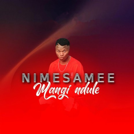 Nimesamee | Boomplay Music