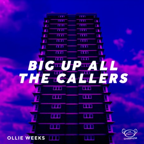 Big Up All The Callers (Original Mix) | Boomplay Music
