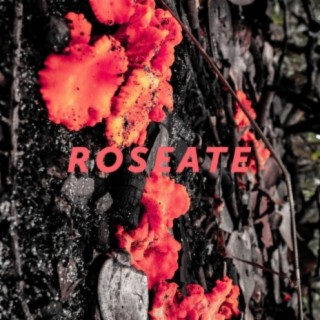 Roseate EP