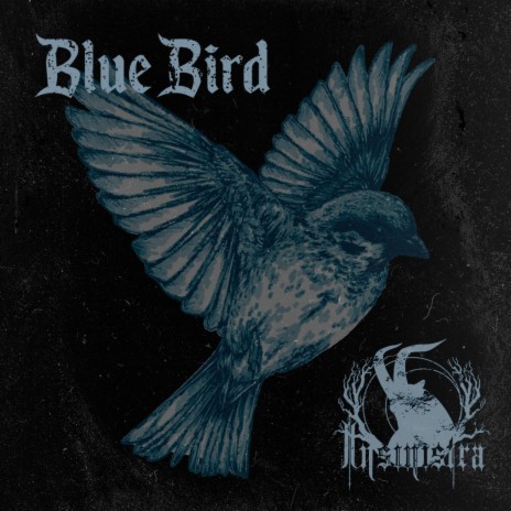 Blue Bird | Boomplay Music