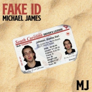 Fake ID lyrics | Boomplay Music