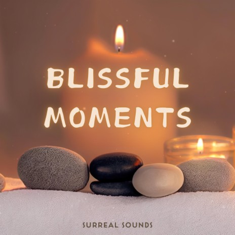 Blissful Moments | Boomplay Music