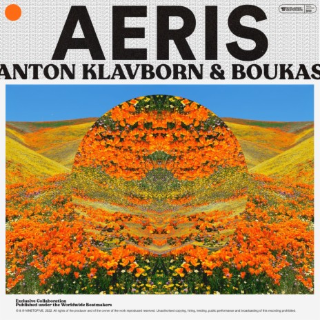 Aeris ft. Anton Klavborn