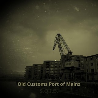 Old Customs Port of Mainz
