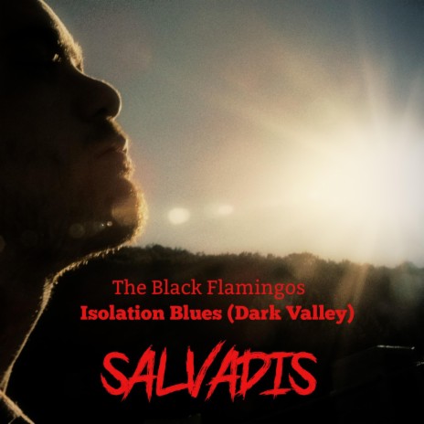 Isolation Blues (Dark Valley) | Boomplay Music