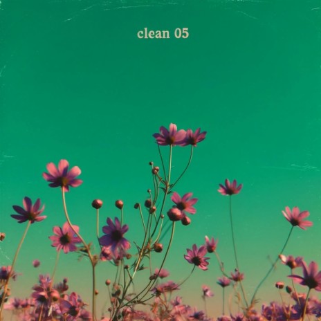 clean 05 | Boomplay Music