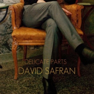 David Safran