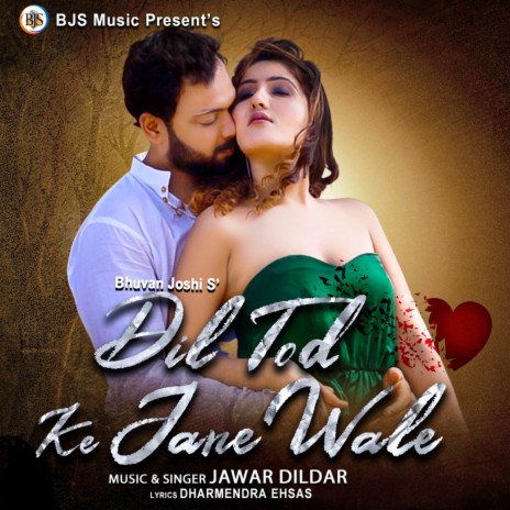 Dil Tod Ke Jane Wale | Boomplay Music