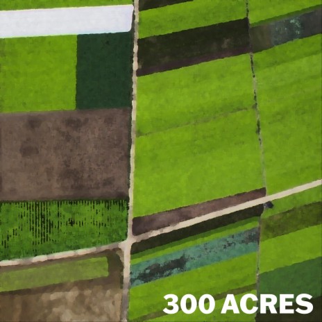 300 ACRES | Boomplay Music