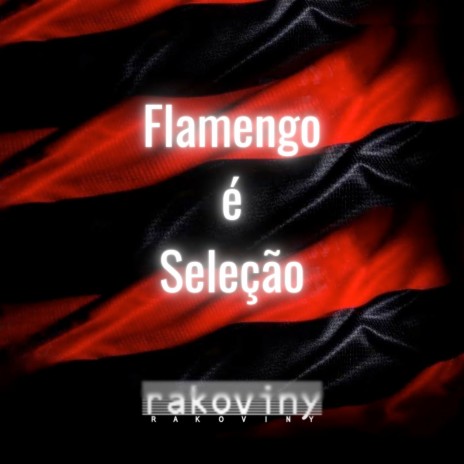Flamengo é Seleção | Boomplay Music