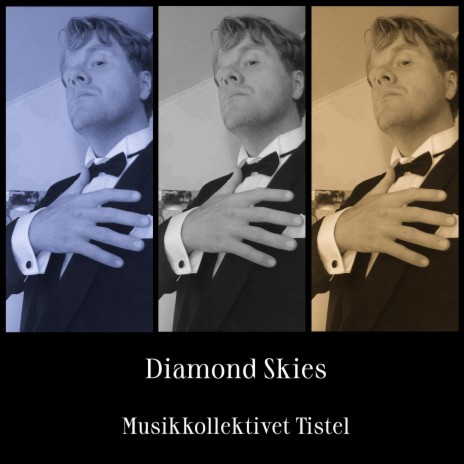 Diamond Skies | Boomplay Music