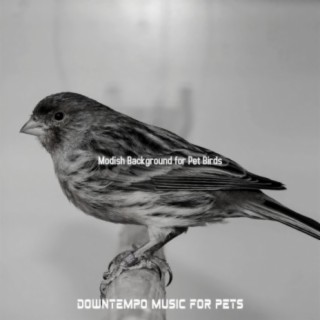 Downtempo Music for Pets