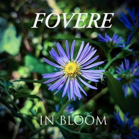 In Bloom | Boomplay Music