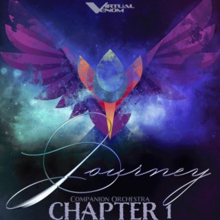 Companion Orchestra Chapter 1: Journey