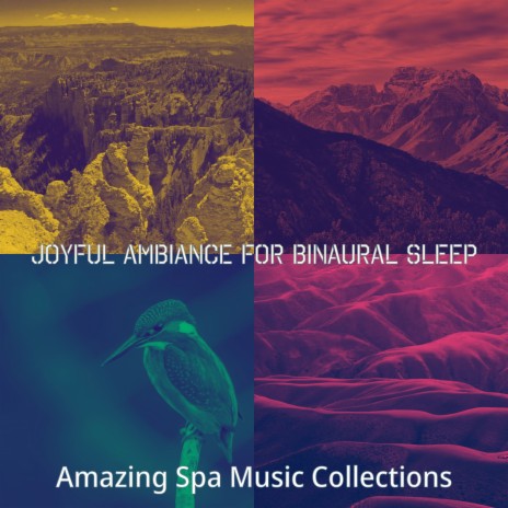 Spectacular Ambience for Deep Sleep | Boomplay Music