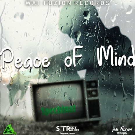 Peace Of Mind | Boomplay Music