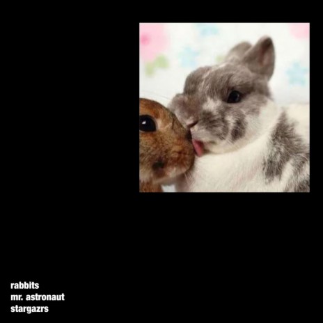 rabbits | Boomplay Music