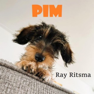 Pim lyrics | Boomplay Music
