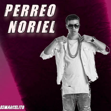 PERREO NORIEL | Boomplay Music