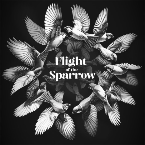 Flight of the Sparrow ft. yungspatz | Boomplay Music