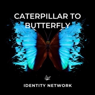 Catterpillar to Butterfly