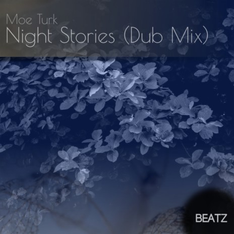 Night Stories (Dub Mix) | Boomplay Music