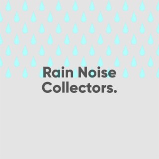 Winter and Spring Rain Sounds Collection