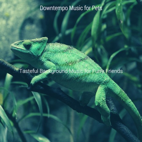 Trio Jazz Soundtrack for Pets