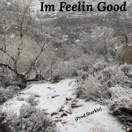 Im Feelin Good ft. Starkie | Boomplay Music
