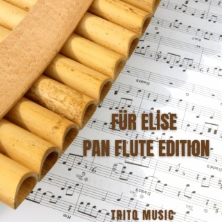Für Elise Pan Flute Edition