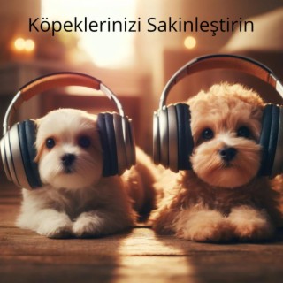 Köpeklerinizi Sakinleştirin: Köpek Yavruları için Rahatlatıcı Müzik, Evcil Hayvanlar için Rahatlatıcı Sesler, Köpekler İçin Derin Uyku