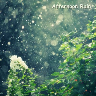Afternoon Rain